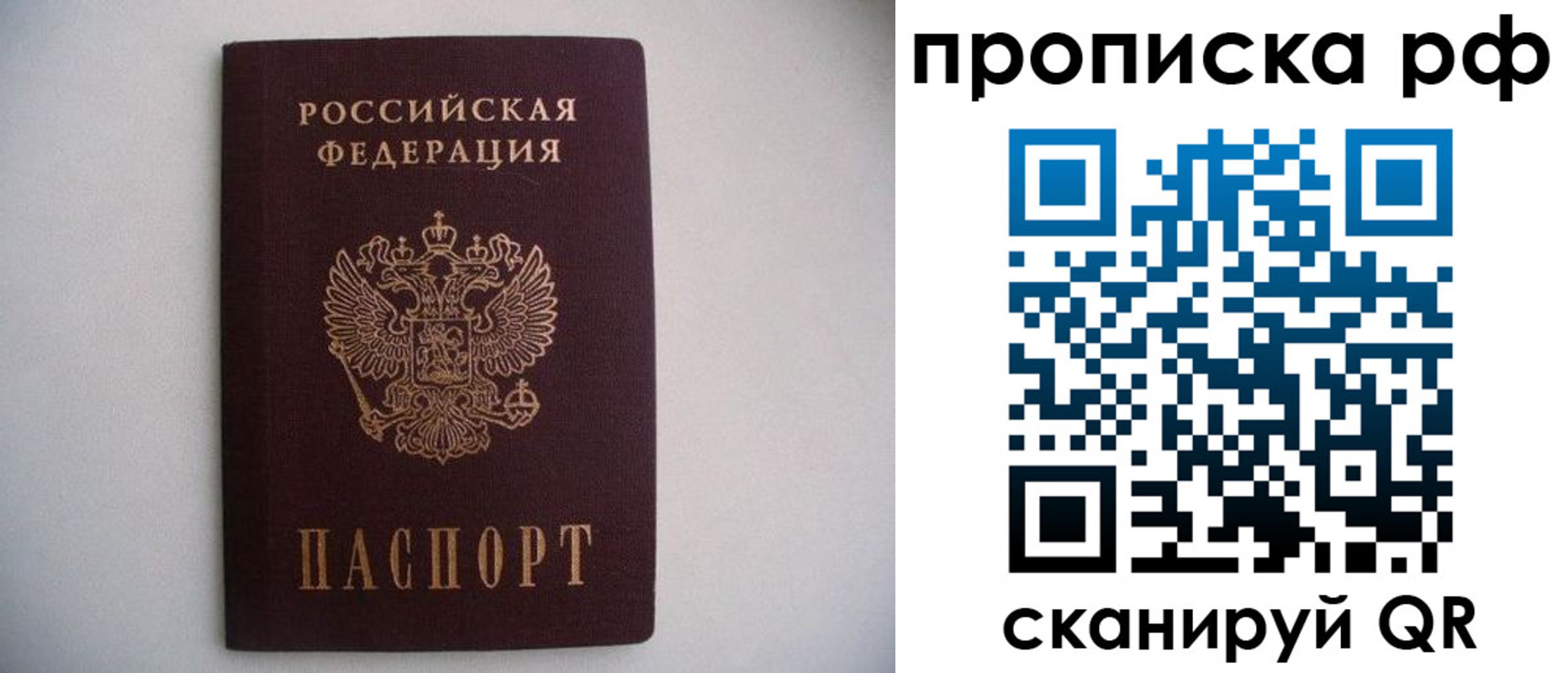 временная регистрация гарантия в Московской области